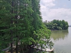-东湖落雁景区