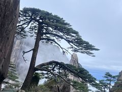 -黄山风景区
