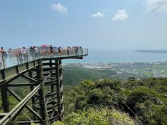 -亚龙湾热带天堂森林公园