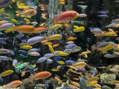 -太平洋海底世界