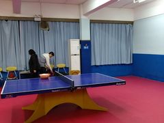 -大凤凰乒乓球馆
