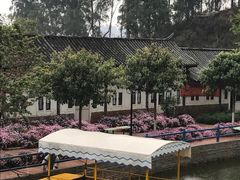 三碗水湖-三碗水湖生态园