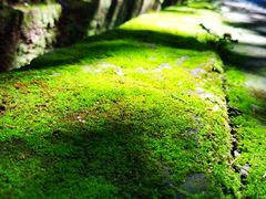 -昆明市金殿名胜区