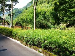 -重庆神龙峡漂流