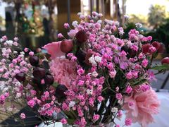 -木棉花开(中心城店)