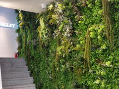 -执茶识麦(万达华府店)