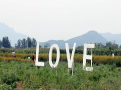 -北京东方普罗旺斯薰衣草庄园