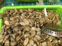 -和源祥·日照菜扛把子(万平口一店)