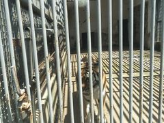 -祥源·阜阳生态乐园