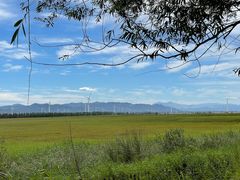 -野鸭湖国家湿地公园