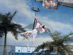 -海合安成都极地海洋公园