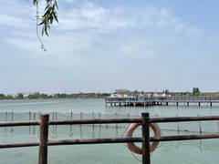 -鹅湖玫瑰文化园