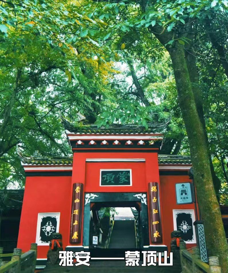 蒙顶山,位于四川省雅安市,因其秀美的自然