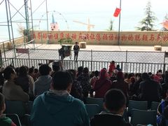 -东方熊牧场