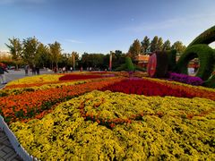 -大兴滨河森林公园