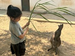 -秦皇岛野生动物园