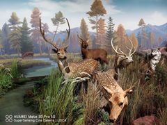 -陕西自然博物馆