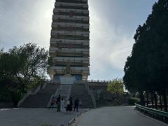 -原山国家森林公园