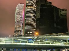 -演武大桥观景平台
