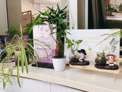 -瓷肌博士·祛痘科技美肤