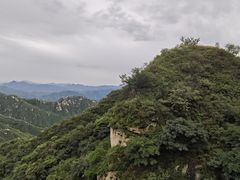 -大岭沟猕猴桃谷风景区
