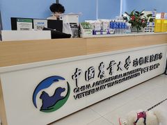 -中国农业大学动物医院