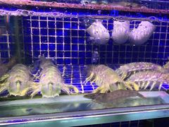 -青蓬蒸汽海鲜·深圳老字号·团建聚会(壹方城店)