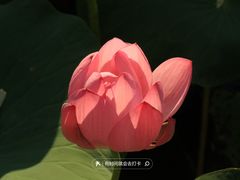 -北海公园