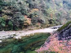 -黎坪国家森林公园