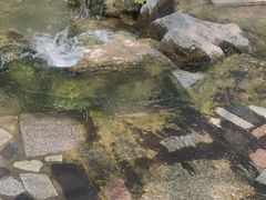 -百脉泉景区