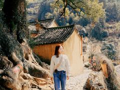 -杨家堂村
