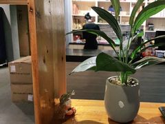 -梵猫·新养生(福州万象城店)