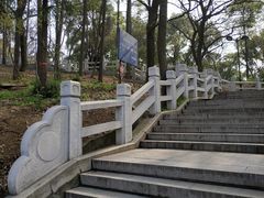 -灵岩山风景区