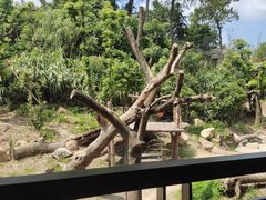 -宁波野生动物园