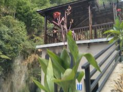 -将军关探险漂流