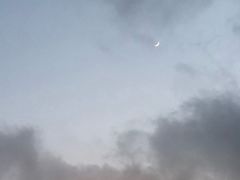 -上海国际音乐村