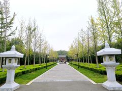 -洛阳古墓博物馆