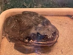 -上海大自然野生昆虫馆