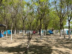 -西青郊野公园