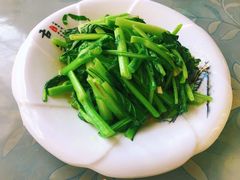 -洞背山庄(洞背院区式管理小区店)