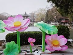 -莲池书院博物馆