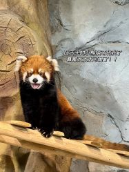 -Zoolung Zoolung动物主题公园(海信广场店)