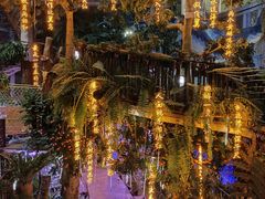 -正佳雨林生态植物园