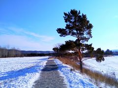 -北极村旅游风景区