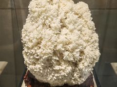 -秦岭终南山世界地质公园翠华山景区