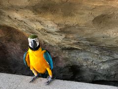 景点-上海欢乐谷