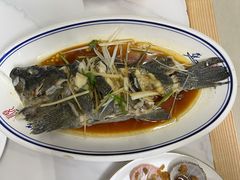 油泼黑头鱼-天伦海鲜·老味道·青岛菜(栈桥天主教堂店)