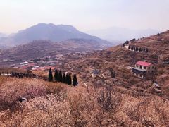 -崂山九水游览区