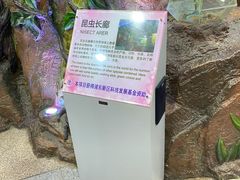 -上海大自然野生昆虫馆(东方明珠·爬宠昆虫探索中心)