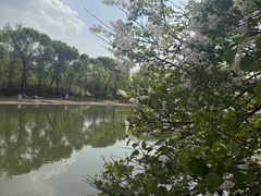 -森林公园(尖草坪区)